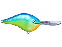 Rapala DT16 Caribbean Shad 