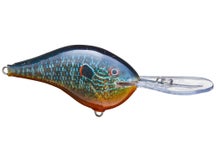 Rapala DT16 Series Crankbaits 