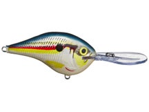 Rapala DT16 Series Crankbaits 