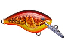 Rapala DT4 Series Crankbaits 
