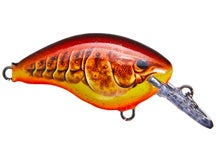 Rapala DT4 Series Crankbaits 