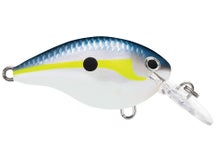Rapala DT4 Series Crankbaits 