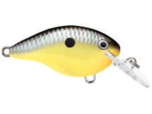Rapala DT4 Series Crankbaits 