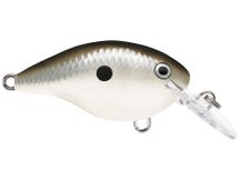 Rapala DT4 Series Crankbaits 