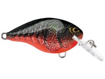 Rapala DT4 Series Crankbaits 