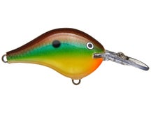 Rapala DT6 Bream