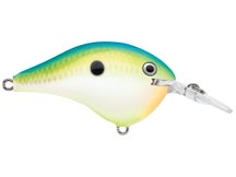 Rapala DT6 Citrus Shad 