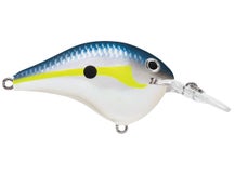 Rapala DT6 Series Crankbaits 