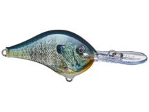 Rapala DT8 Live Bluegill 
