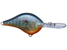 Rapala DT8 Live Pumpkinseed 