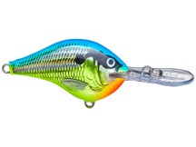 Rapala DT8 Parrot 