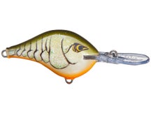 Rapala DT8 Series Crankbaits 