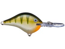 Rapala DT8 Series Crankbaits 