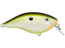 Rapala Ott's Garage OG Big Rocco Crankbaits