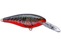 Rapala Shad Rap 5 Crankbaits