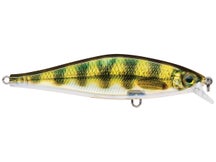 Rapala Shadow Rap Shad Jerkbaits