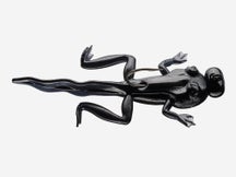 Rebel Tadpole