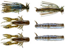 Rebel Ultra Finesse Jig Kits 6pk