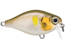 Rapala X-Light Crank Shallow 03