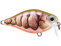 Rapala X-Light Crank Shallow 03