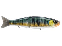 Storm Arashi Glide True Gill 19