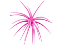 Hideup Coike 17mm Creature Bait