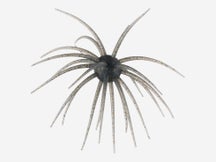 Hideup Coike 17mm Creature Bait