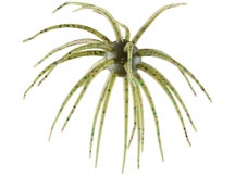 Hideup Coike 17mm Creature Bait