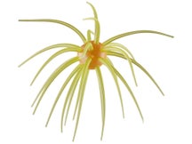 Hideup Coike 17mm Creature Bait