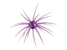Hideup Coike 17mm Creature Bait