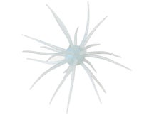 Hideup Coike 17mm Creature Bait
