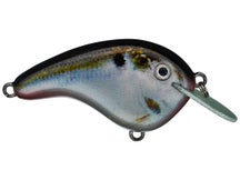 Strike King Chick Magnet Jr. Flat Sided Crankbait