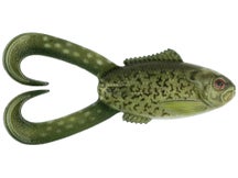 Scum Frog Scum Runner