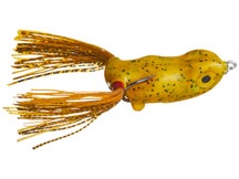 Scum Frog Small Dog Pumpkinseed