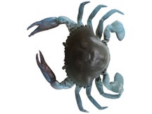 Savage Gear TPE 3D Crab