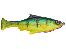 Pulse Tail LB Shiner Firetiger 4"