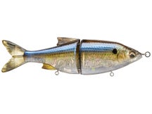 Savage Gear Shine Glide Pro Glide Bait