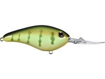 Strike King Pro Model 6XD Crankbaits 