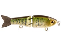 Strike King Bitsy Glide