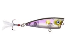 Strike King Bitsy Splash Popper