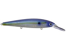 Strike King KVD Elite 300 Deep Jerkbait