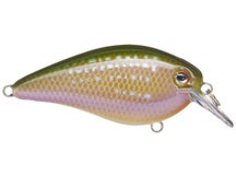 Strike King KVD Elite 1.5 Squarebill Crankbaits 
