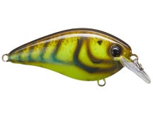 Strike King KVD Elite 1.5 Squarebill Crankbaits 