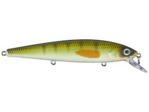 Strike King KVD Elite 300 Jerkbait