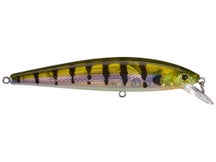 Strike King KVD Elite 200 Jerkbait