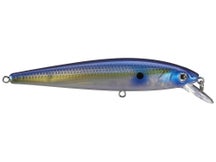 Strike King KVD Elite 200 Jerkbait Pro Blue Glimmer