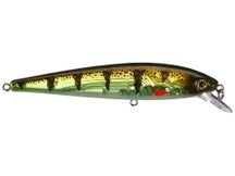 Strike King KVD Elite 200 Jerkbait