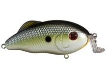 Strike King Hybrid Hunter Crankbait