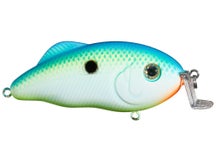 Strike King Hybrid Hunter Crankbait