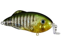 Strike King Hybrid Hunter Shallow Crankbaits